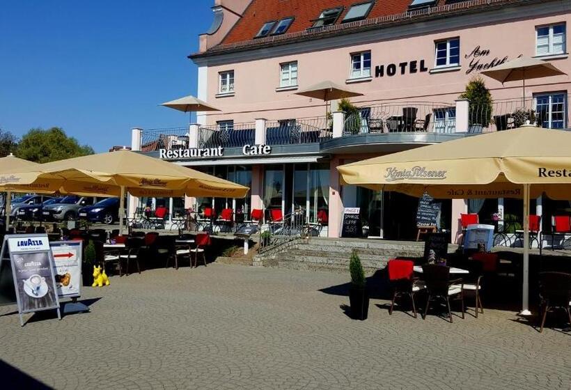 호텔 Am Yachthafen