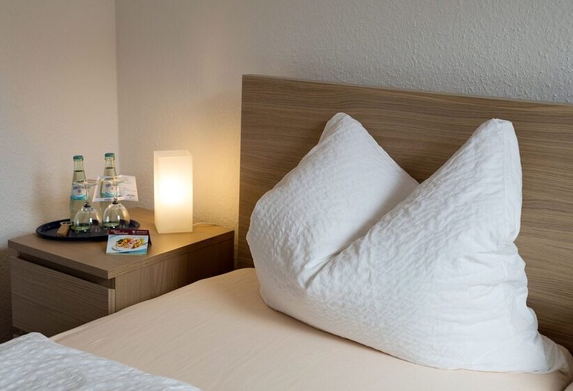 בית מלון כפרי & Apartment Am Theaterplatz