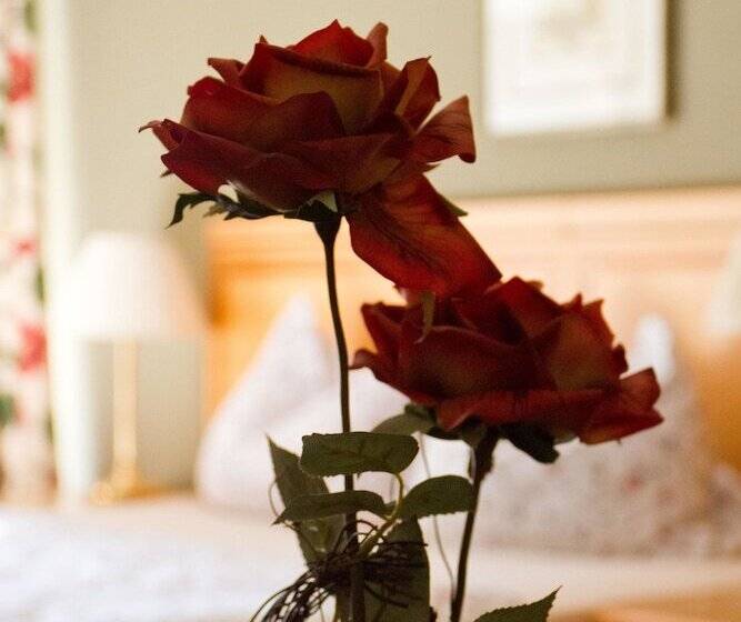 ホテル Cafe Frida