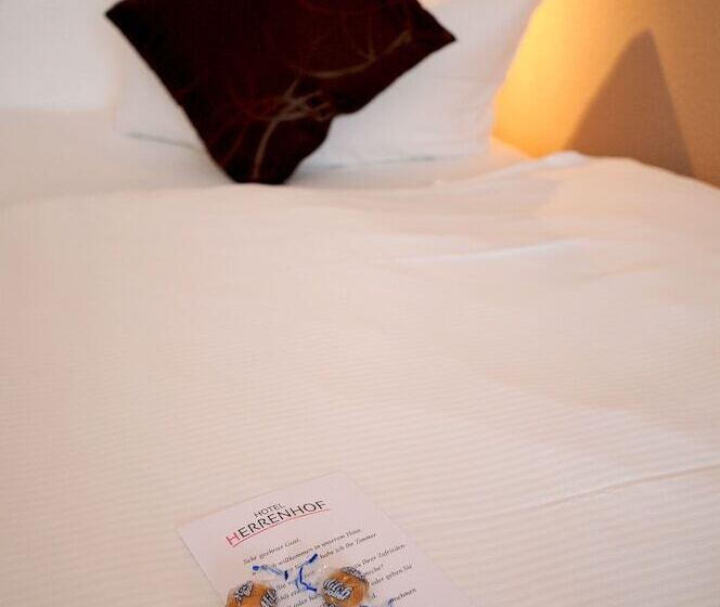 Отель Herrenhof