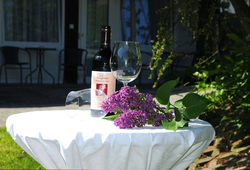 Отель Herrenhof