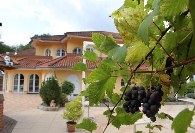 בית מלון כפרי Hostellerie Bacher