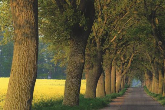 Отель Kiwi Seminar- Und Ferien