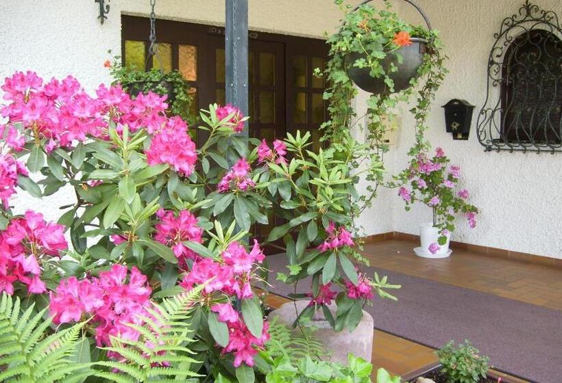 酒店 Mühlenthal Gmbh