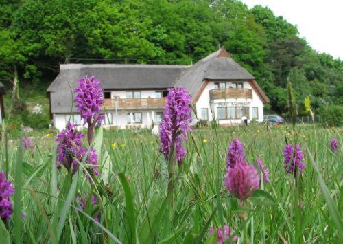 בית מלון כפרי Moritzdorf