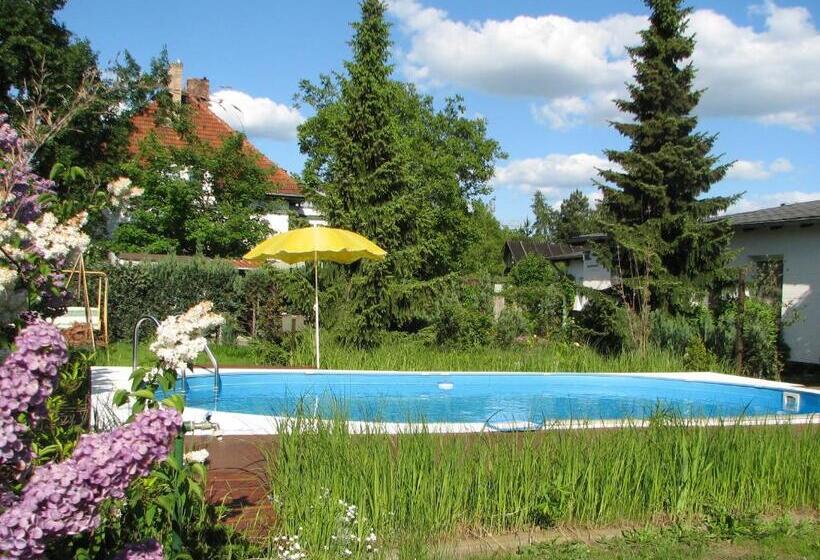 هتل Pension Lydia