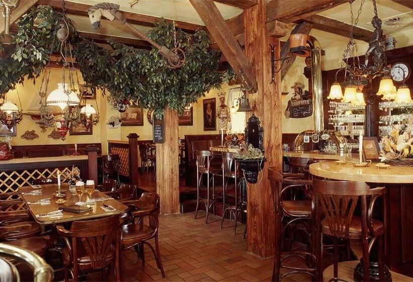 ホテル & Restaurant Alter Speicher