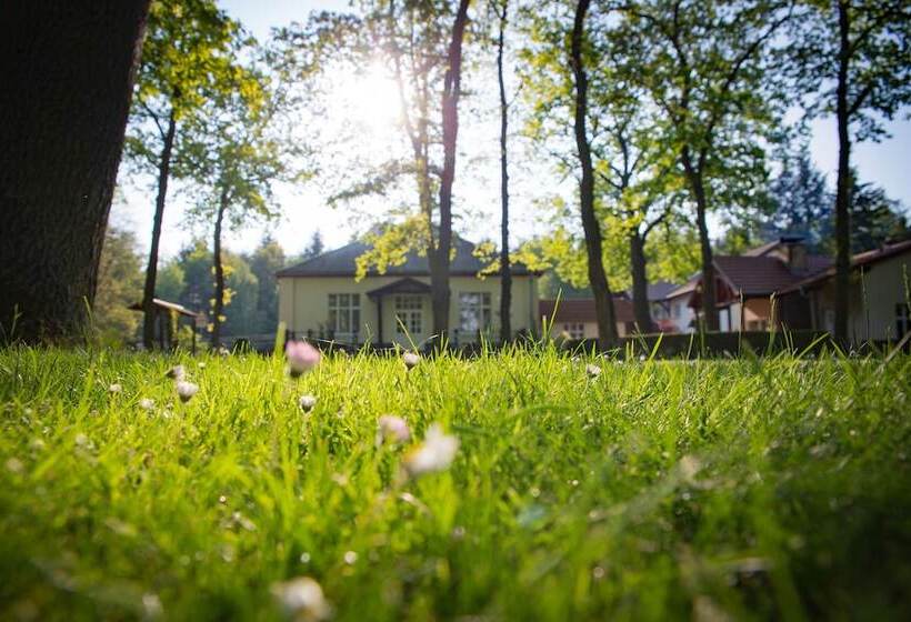 فندق & Restaurant Waldschlosschen