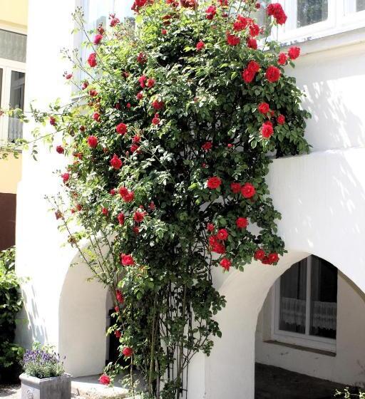 Отель The Avalon