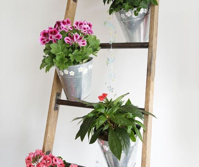 בית מלון כפרי Wittenbeck Resort