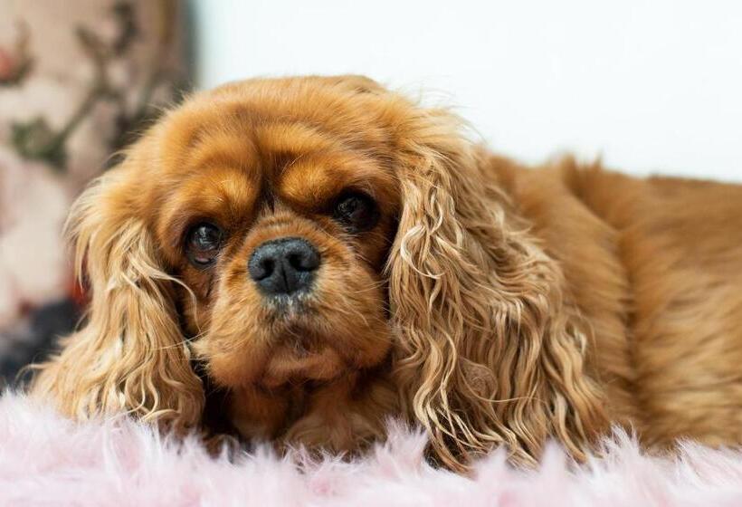 Отель Zum Vetter