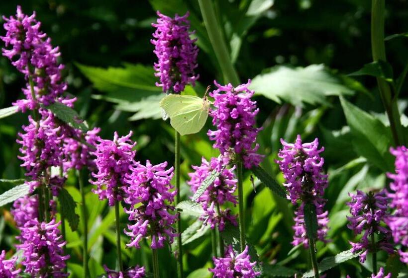 Landhaus Heinrichshof