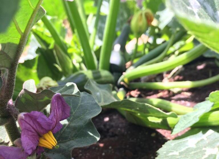 Bed and Breakfast Elemental Ericeira