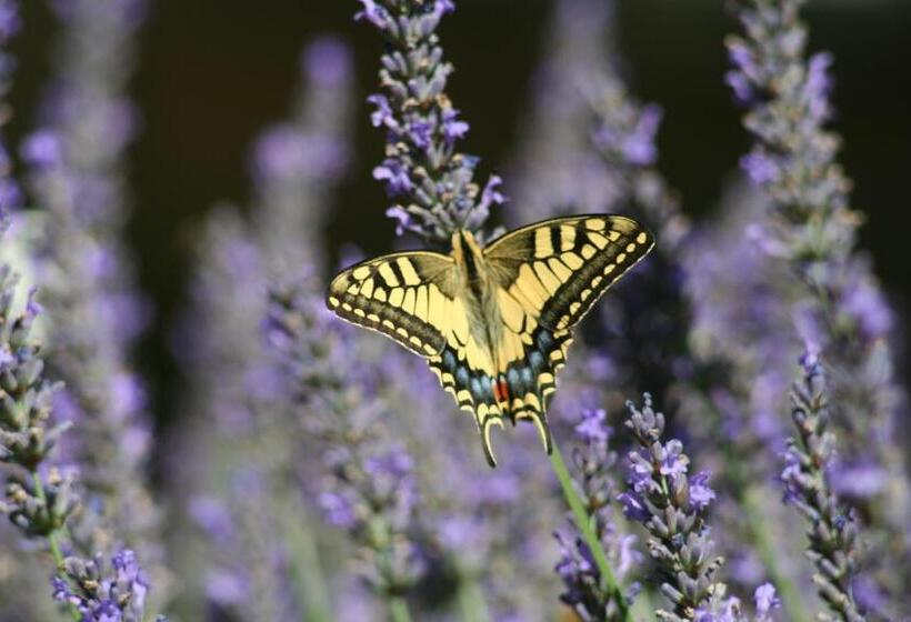 مبيت وإفطار Les Rochers