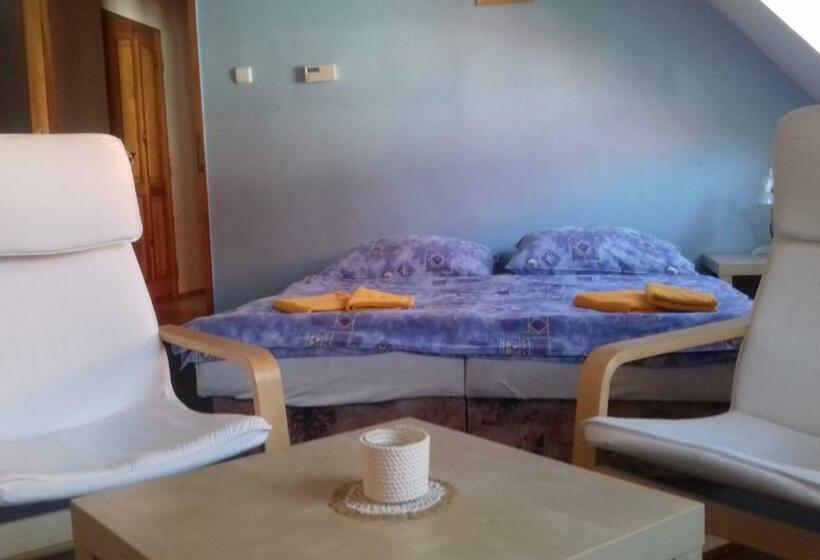 ホテル Penzion Paták