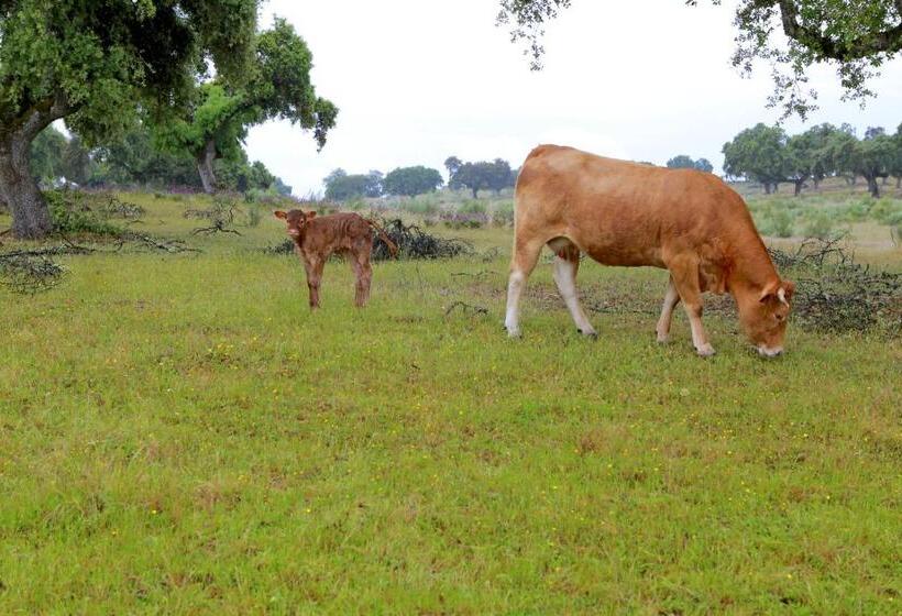 בית מלון כפרי Quinta Da Caldeireira