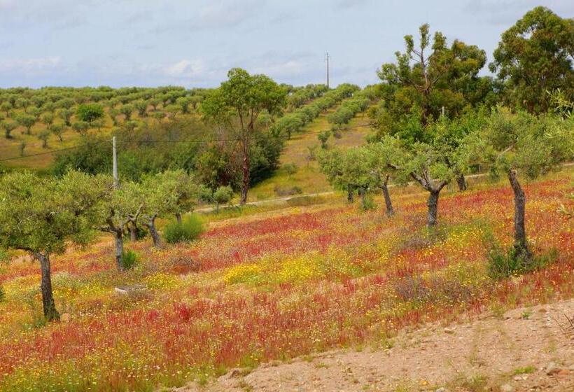 ホテル Quinta Da Caldeireira