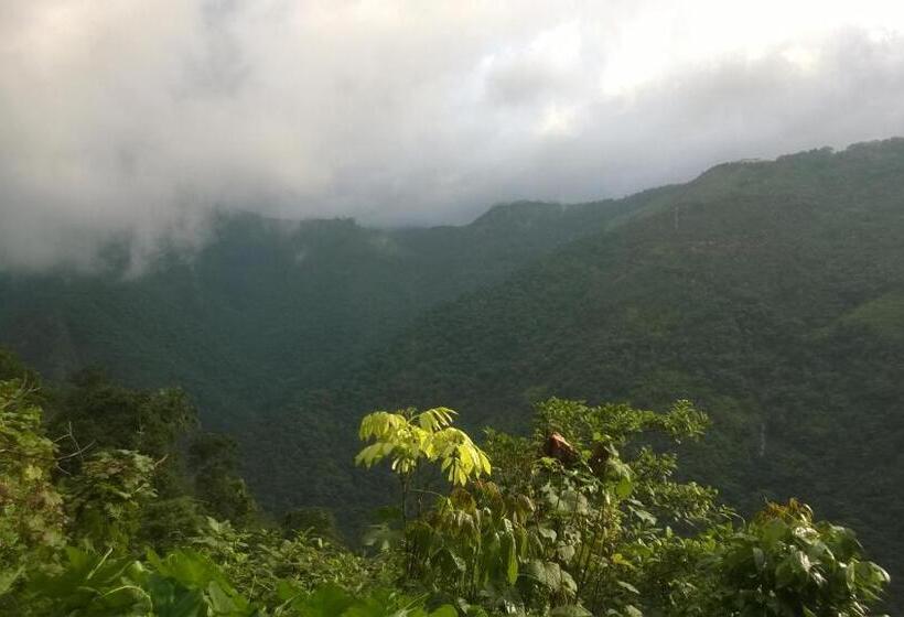 فندق Shawn Dale Homestay