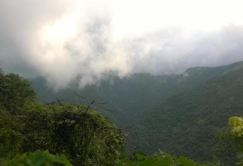 فندق Shawn Dale Homestay