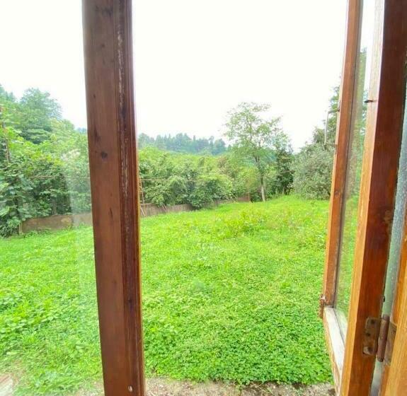 بنسيون Edo S House