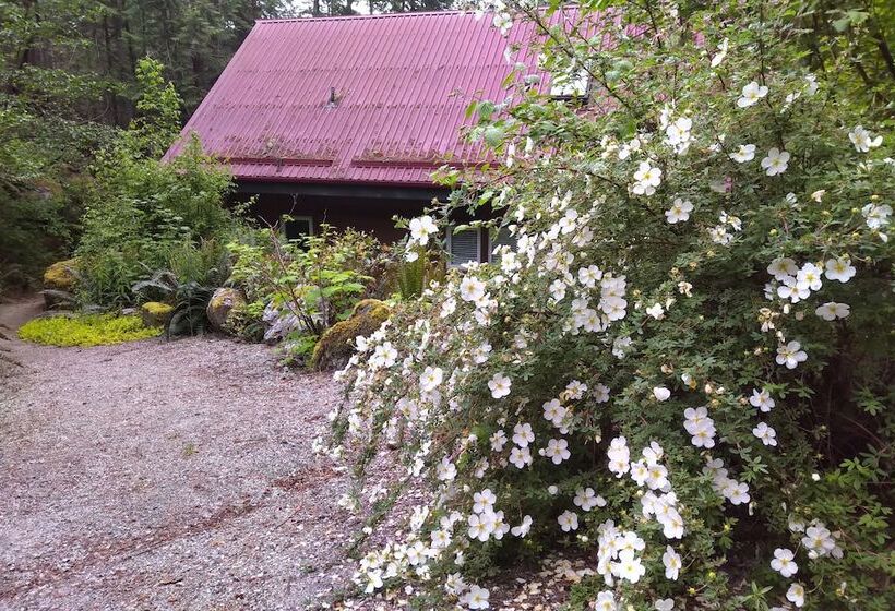 膳宿费 The Cabin At Moon Dance