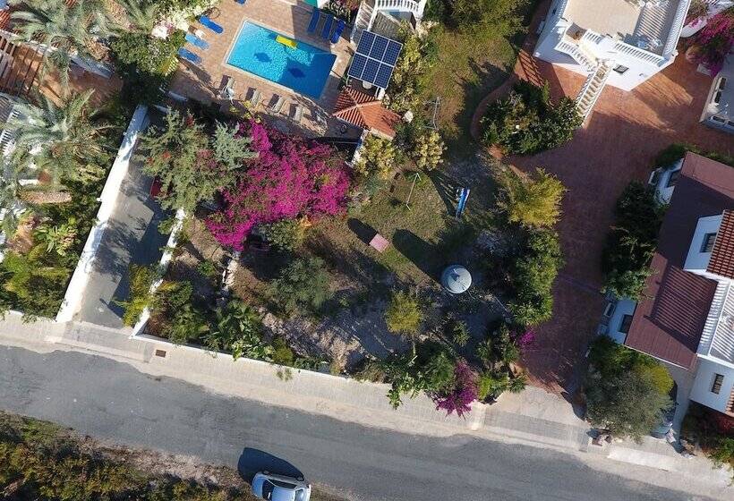 Coral Cypria Villa !!