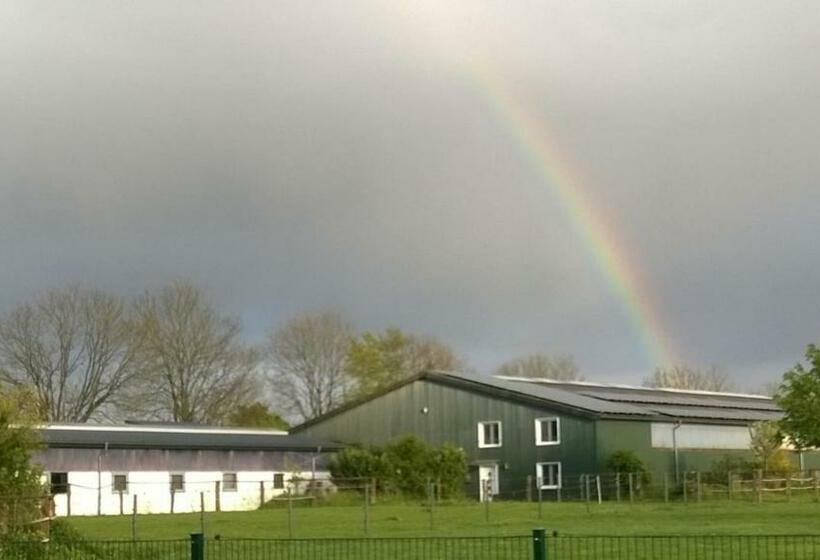 Akebys Erholung In Besonderer Atmosphäre, Inkl Pflegepony, Gastpferdeboxen Vorhanden