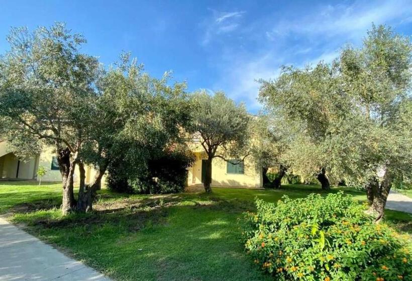 Charme A 300 Mt Dal Mare   Calabria