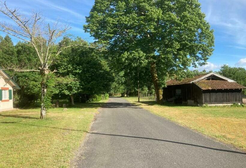 Studio Indépendant   2 Voyageurs   Jardin/jacuzzi