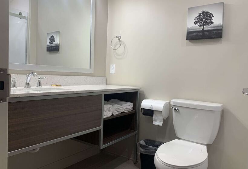 فندق Best Western Plus Horseheads Inn & Suites