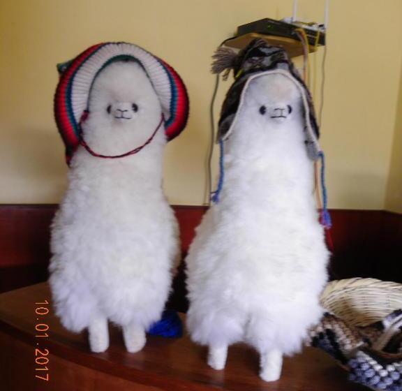 ホテル Huaytusive Inn