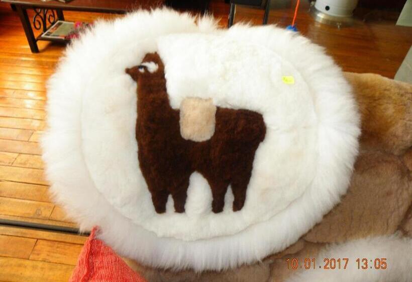 ホテル Huaytusive Inn