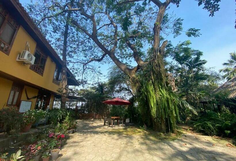 ユースホステル Saiananda Adventure Eco Lodge