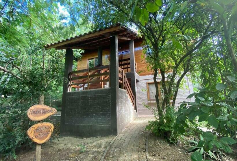 ユースホステル Saiananda Adventure Eco Lodge