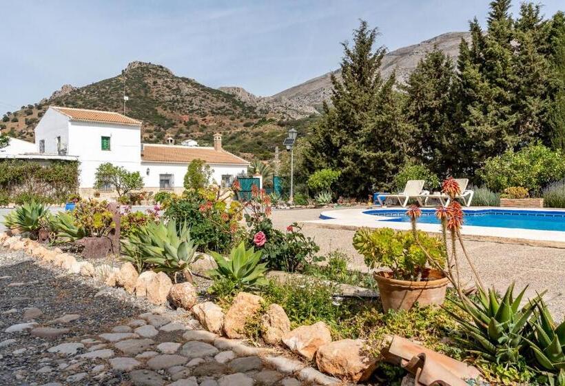 Alojamiento Rural El Viso