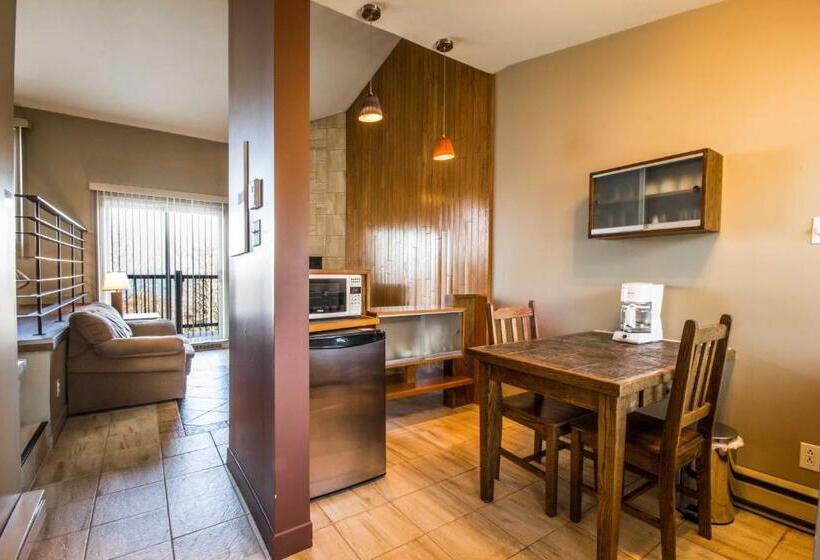 Отель La Remontée Appartements Hôtel