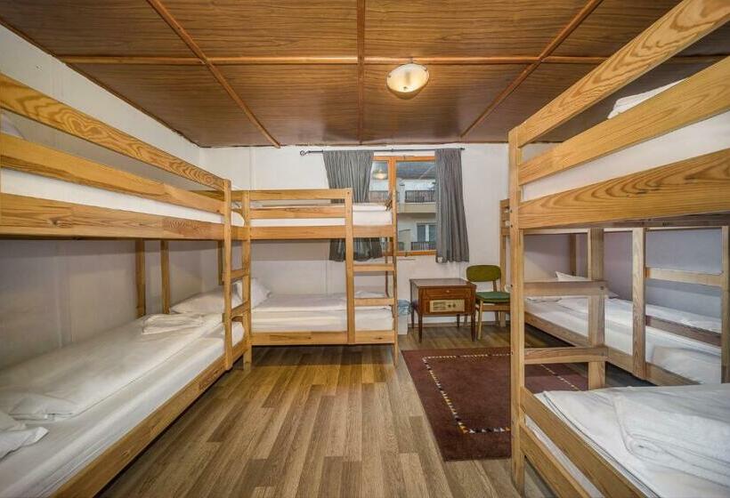 펜션 Lipicai Ifjúsági Szálló