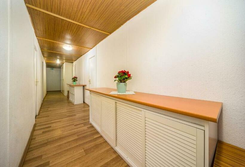 펜션 Lipicai Ifjúsági Szálló