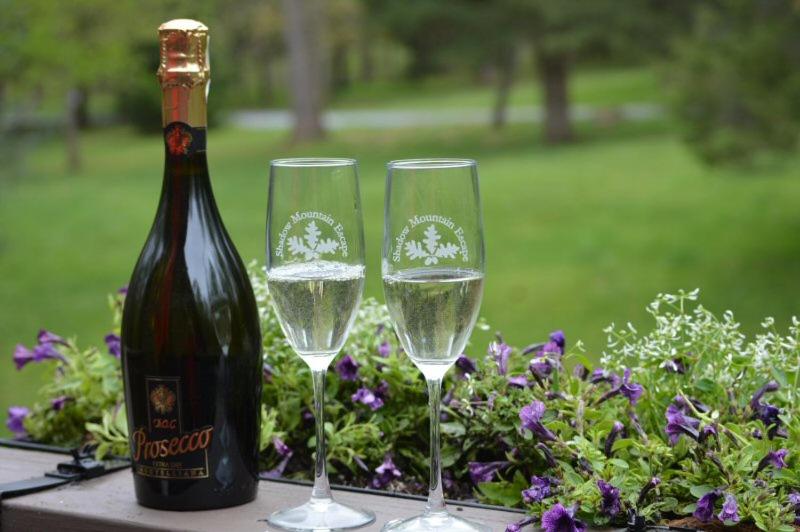 Пансион Shadow Mountain Escape Cabin Rentals