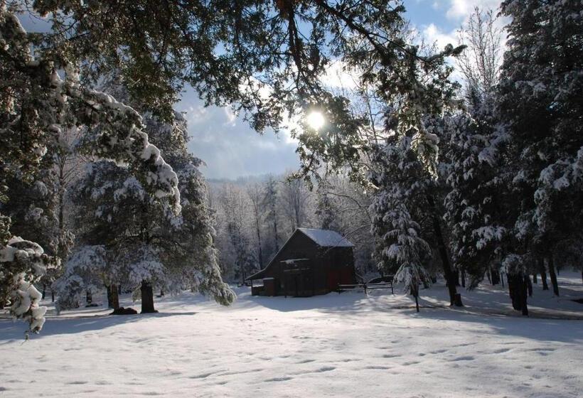 Пансион Shadow Mountain Escape Cabin Rentals