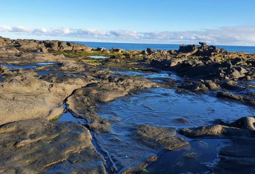 Bed and Breakfast Backpackerroom S