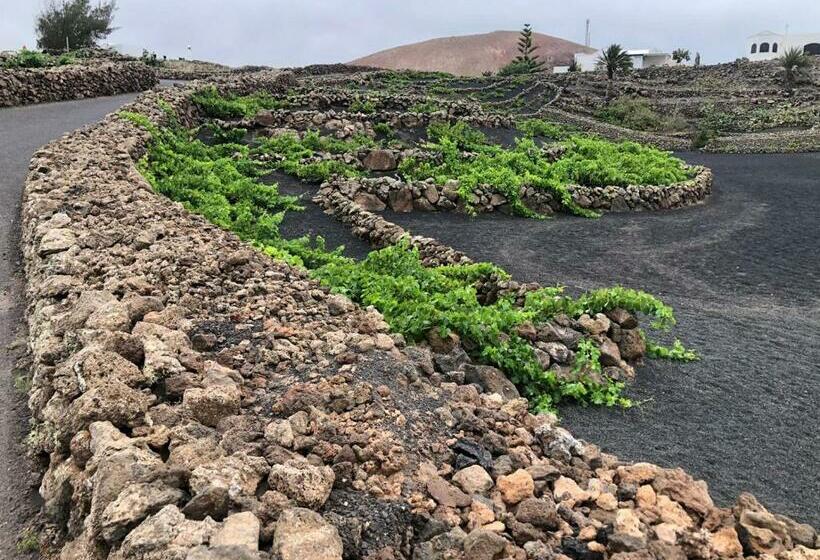 Bed and Breakfast Backpackerroom S