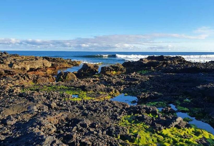 Bed and Breakfast Backpackerroom S