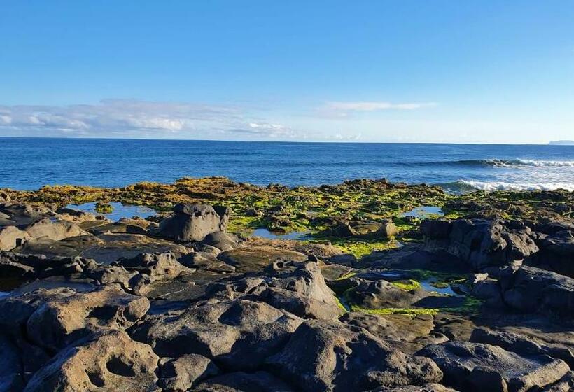 Bed and Breakfast Backpackerroom S