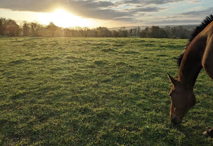 צימר Le Haras D Havetot