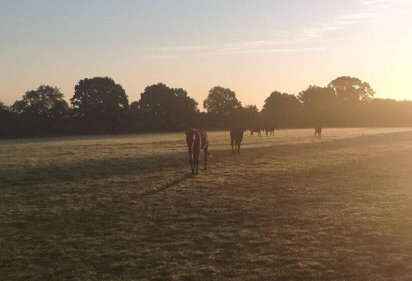 צימר Le Haras D Havetot