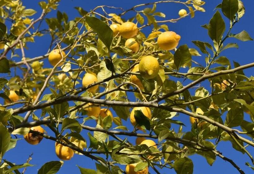 مبيت وإفطار Quinta Da Marmela