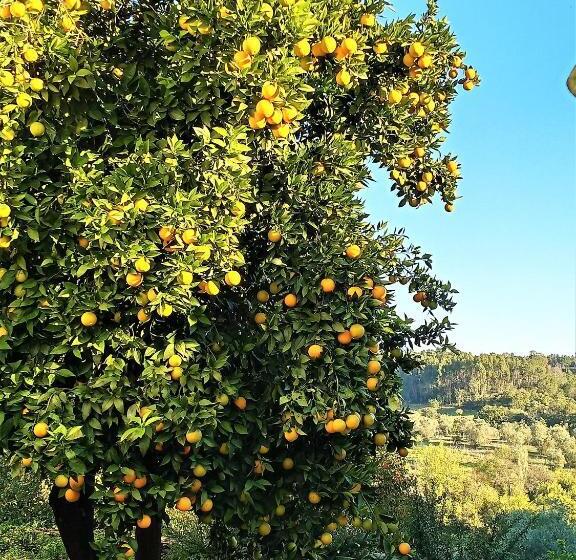 مبيت وإفطار Quinta Da Marmela