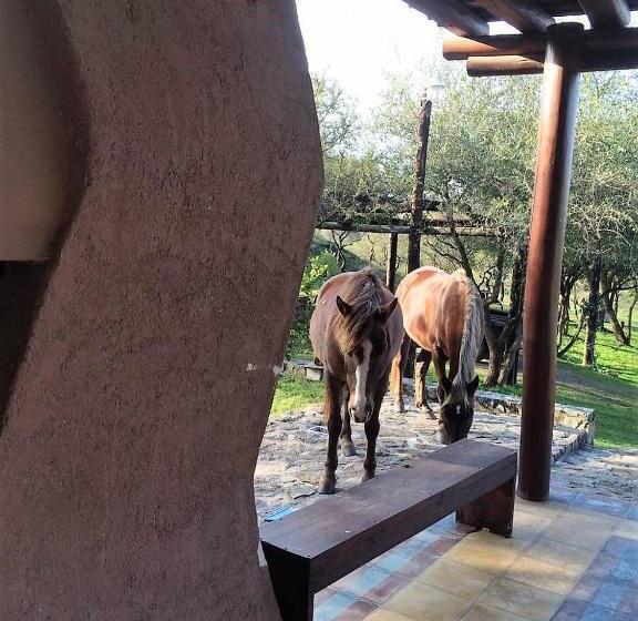 Casa De Campo   Piedra