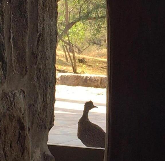 Casa De Campo   Piedra